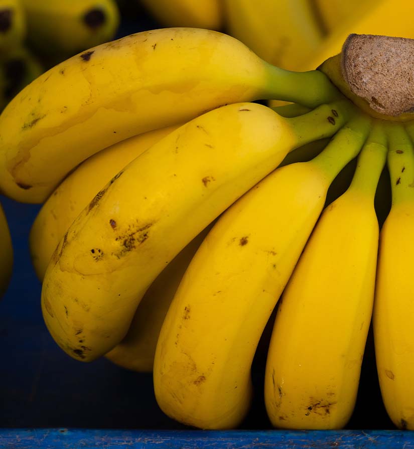 Banana fiber sustainability raw materials António Salgado