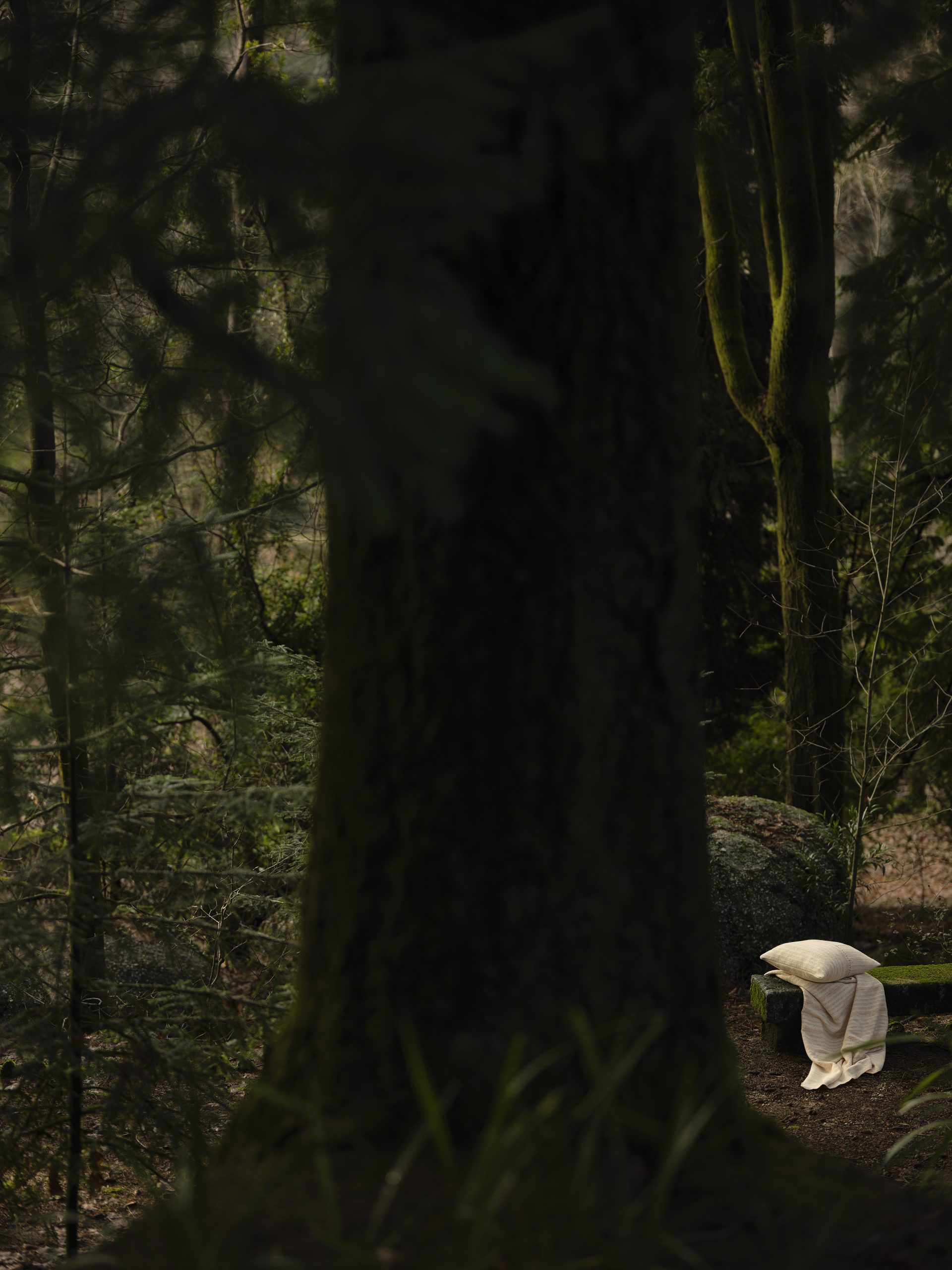 Manta_211514_Mojave_Branco_320
